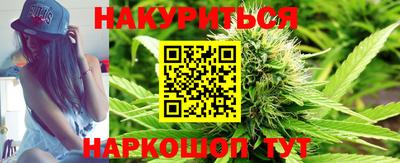 шишки Лесосибирск