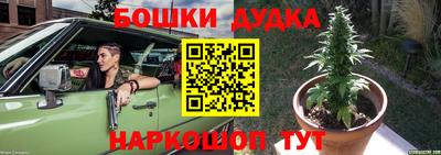 шишки Лесосибирск