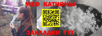 шишки Лесосибирск