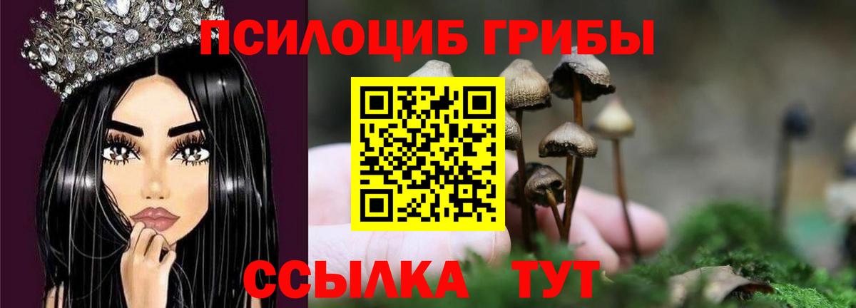 Псилоцибиновые грибы ЛСД  Вход с VPN  Бузулук 